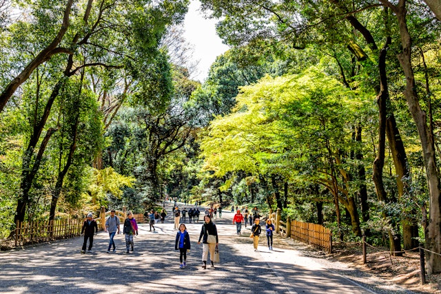 Tour de la ville de Tokyo