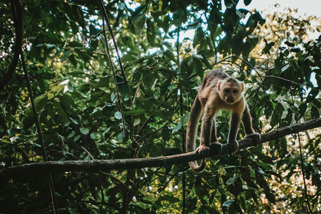 Parc National Tayrona