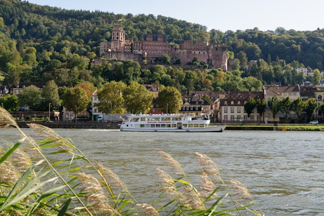 Neckarsonne Boat Ride