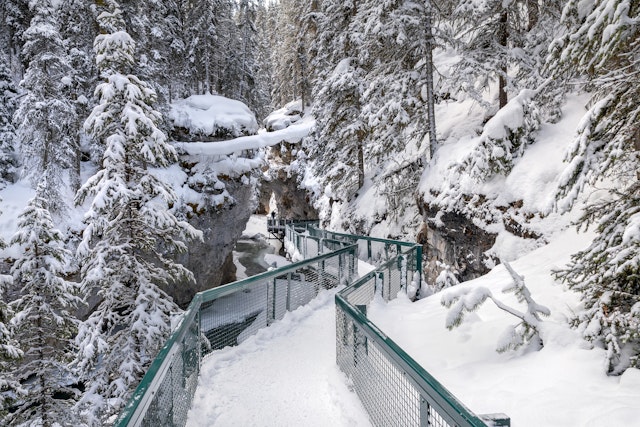 Johnston Canyon Eiswanderung