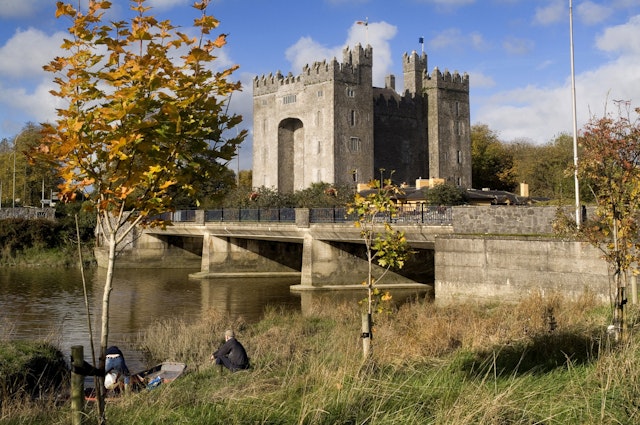 Bunratty Castle and Folk Park