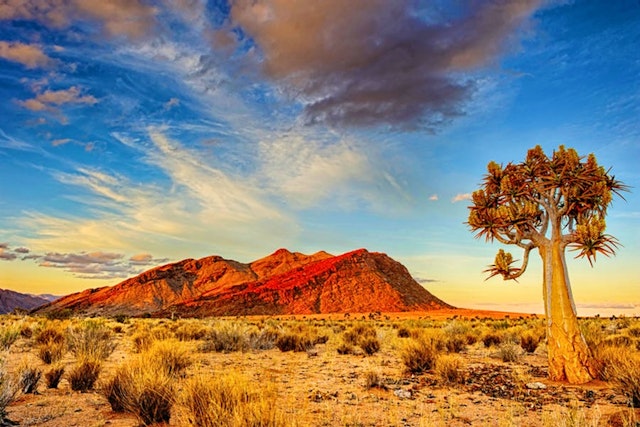 Farmrundfahrt am Morgen