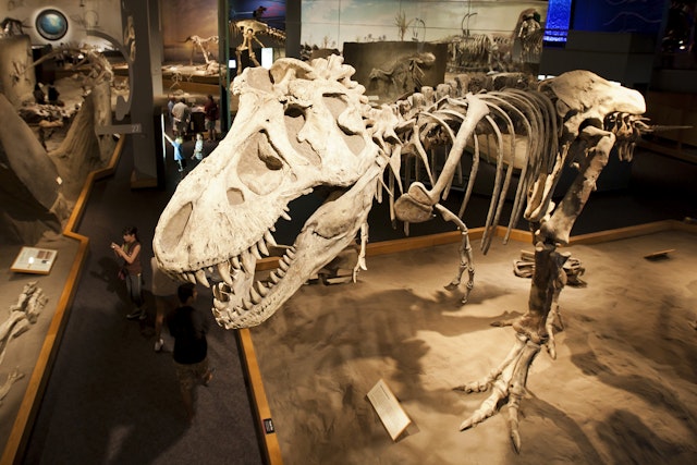 Drumhell Royal Tyrrell Museum Eintritt