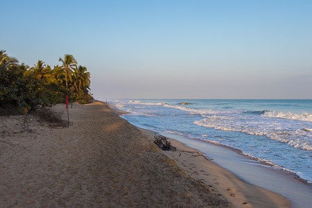 Visite du parc Tayrona