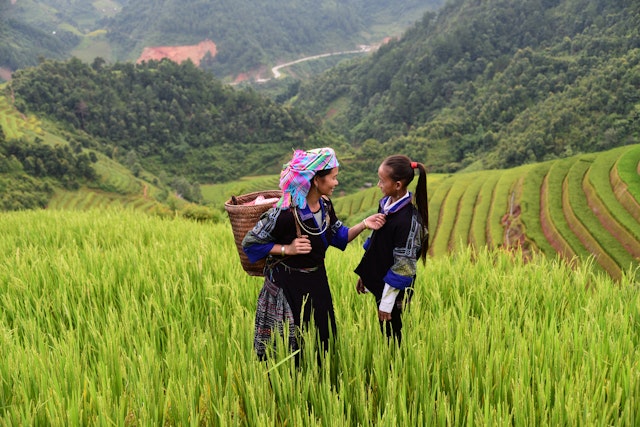 Découverte du mode de vie balinais