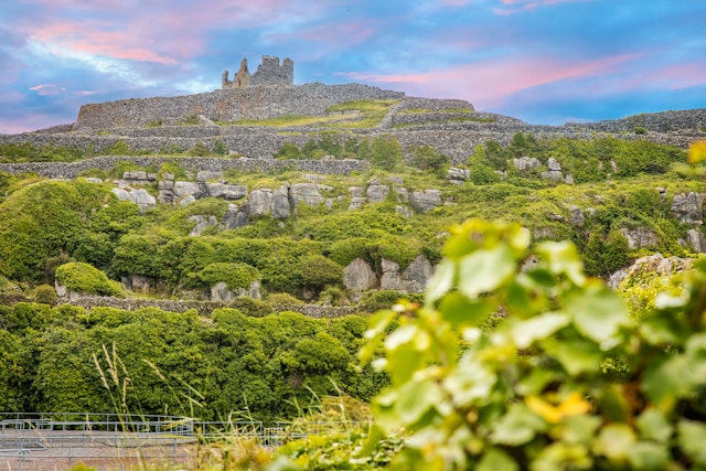 Full day tour: Aran Island