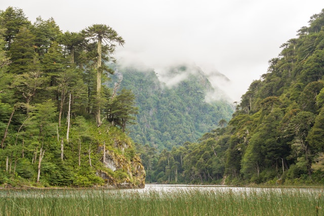 Traversée des lacs andins