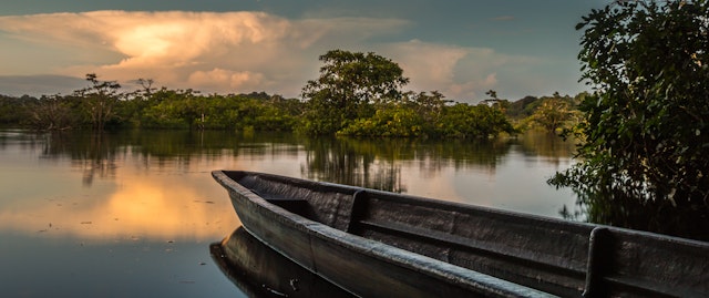 Journée au coeur de l'Amazonie