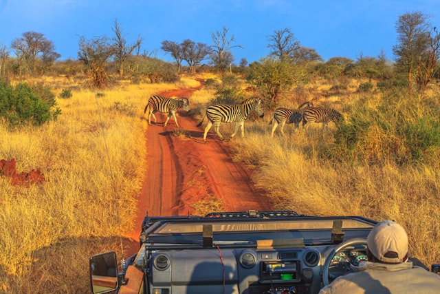 Wildtierbeobachtung in Etosha
