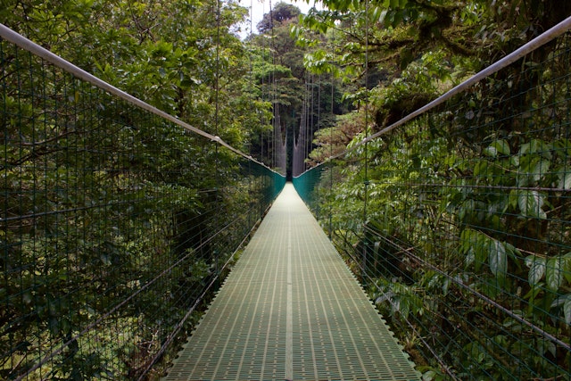 Hängebrücken & Zip-Line Selvatura