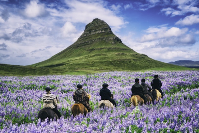Skagafjörður-Reittour