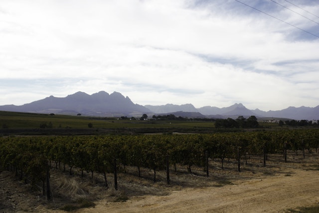 Weingut Hop-On-Hop-Off in Stellenbosch