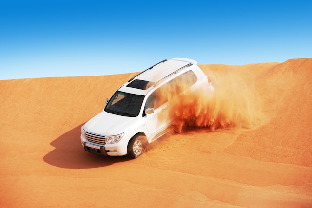 Wüstensafari 