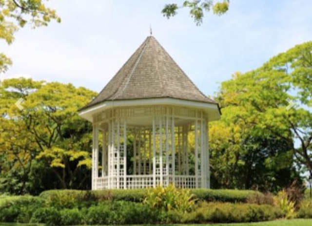 Tour de ville avec jardin botanique