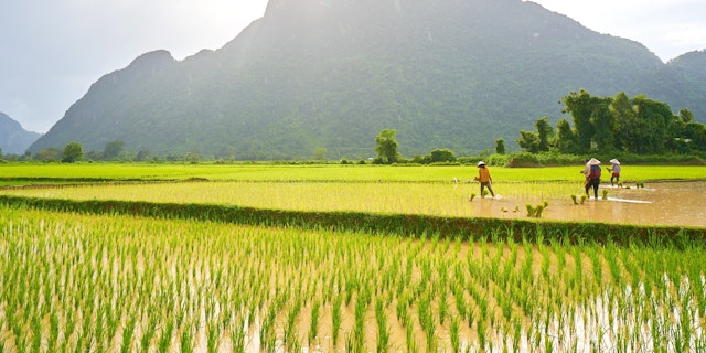 Vang Vieng-2