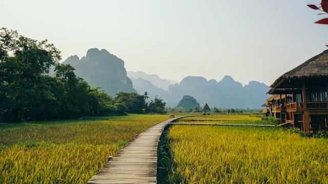 9 Tage Laos: Das Land der Elefanten