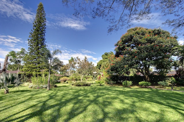 Hotel Bougainvillea