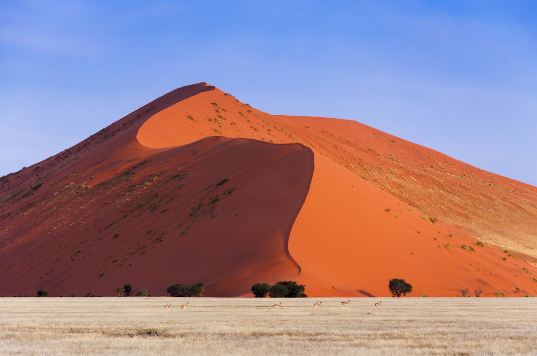 Namibie : voyagez au-delà des horizons