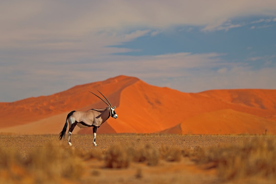 Namibia Individualreisen ab Windhoek