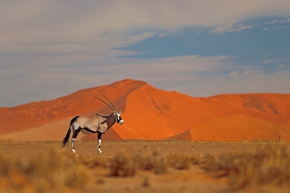 Namibia Individualreisen ab Windhoek - Image 3