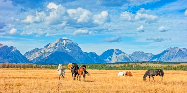 Grand Teton National Park-6