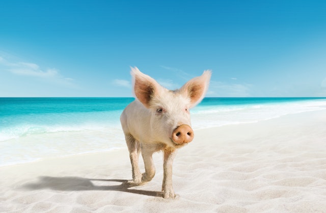 Bahamas Rundreise: Traumhafte 9 Tage