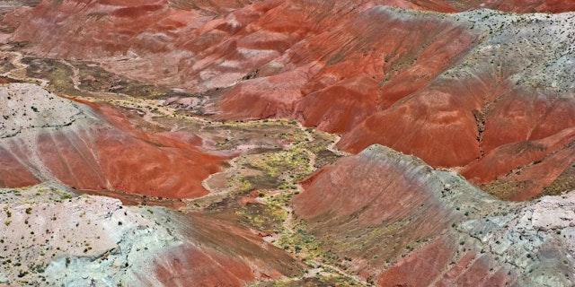 Gallup-3