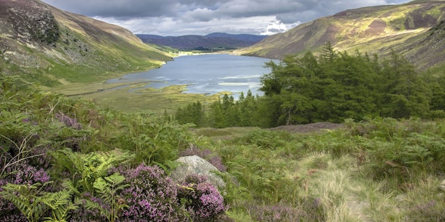 Royal Deeside-6