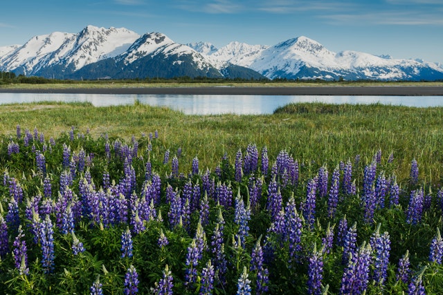 Anchorage-3