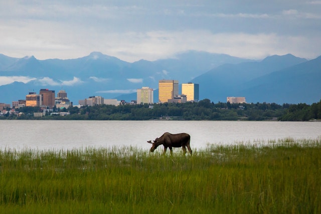 Anchorage-2