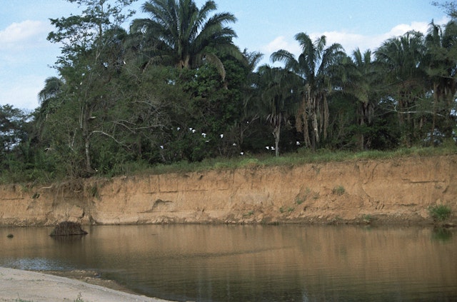 Yopal-2