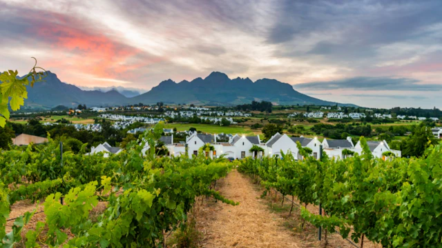 De Zalze Lodge