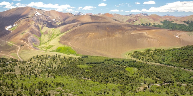 Malalcahuello-1
