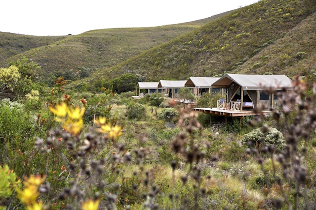 Gondwana Game Reserve