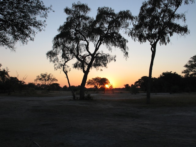 Khwai Campsite