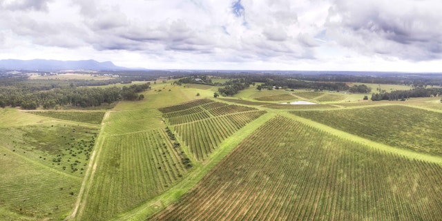 Hunter Valley-4