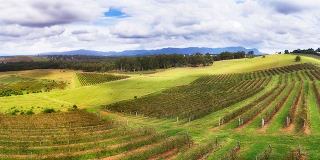 Hunter Valley-3