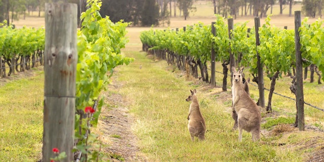 Australien Rundreise 3 Wochen: Wohnmobil-Abenteuer durch Australien