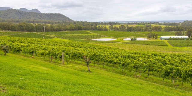 Hunter Valley-2
