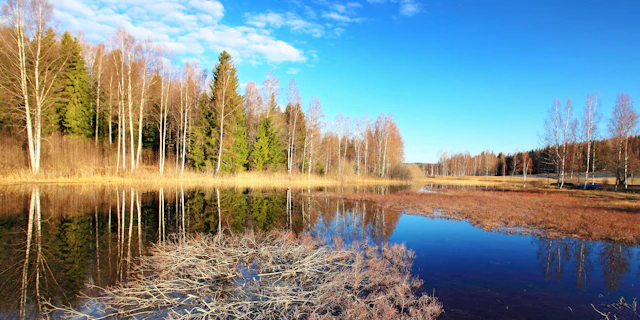 Kainuu-5