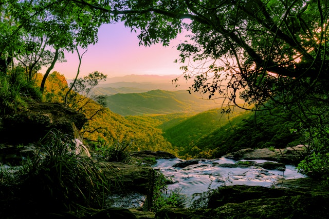 Lamington National Park-0