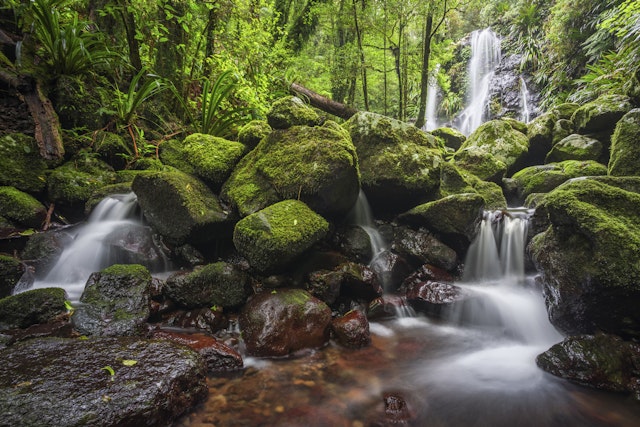 Lamington National Park-2