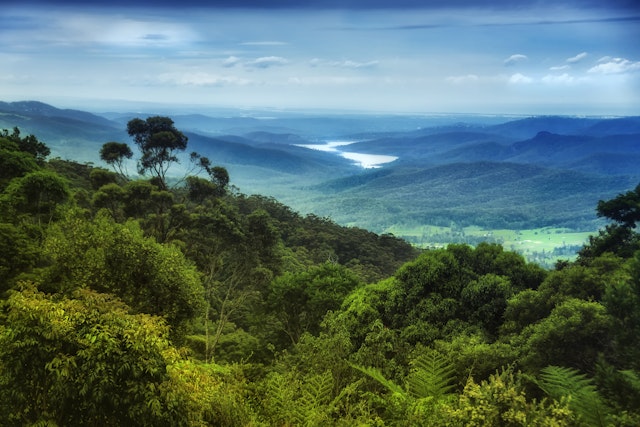 Lamington National Park-1