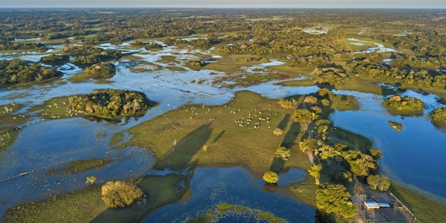 Northern Pantanal -0