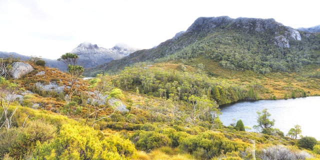 Cradle Mountain-2