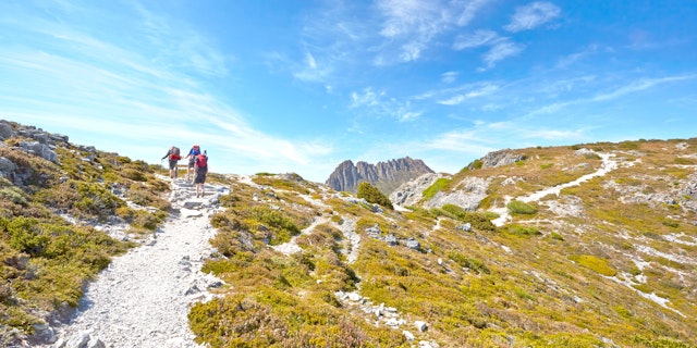Cradle Mountain-1