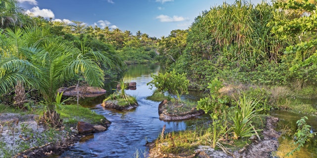 Praia do Forte-2