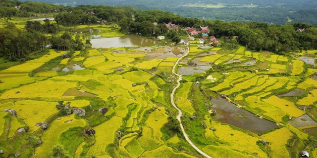 4 Tage Indonesien Erlebnisreise: Sulawesi entdecken