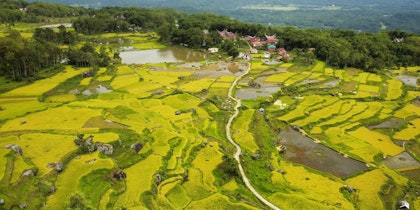 5 Tage Indonesien Erlebnisreise: Sulawesi entdecken - Image 4