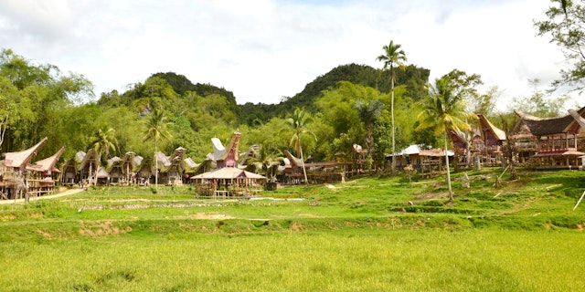 Tana Toraja-3